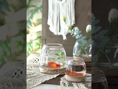 H15cm Fish Bowl Elegante Decoração de Vaso de Vidro para Casa e Escritório Moderno