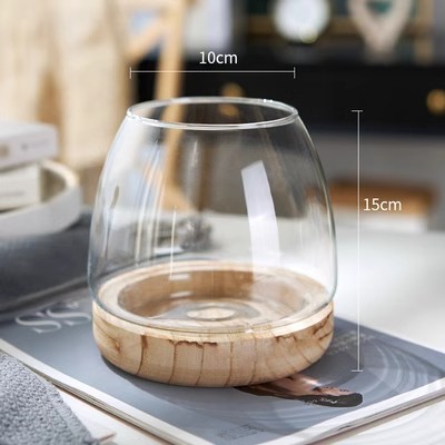 H10 CM Transparent Global Glass Vase Perfect for Holding Flowers Fish Bowl